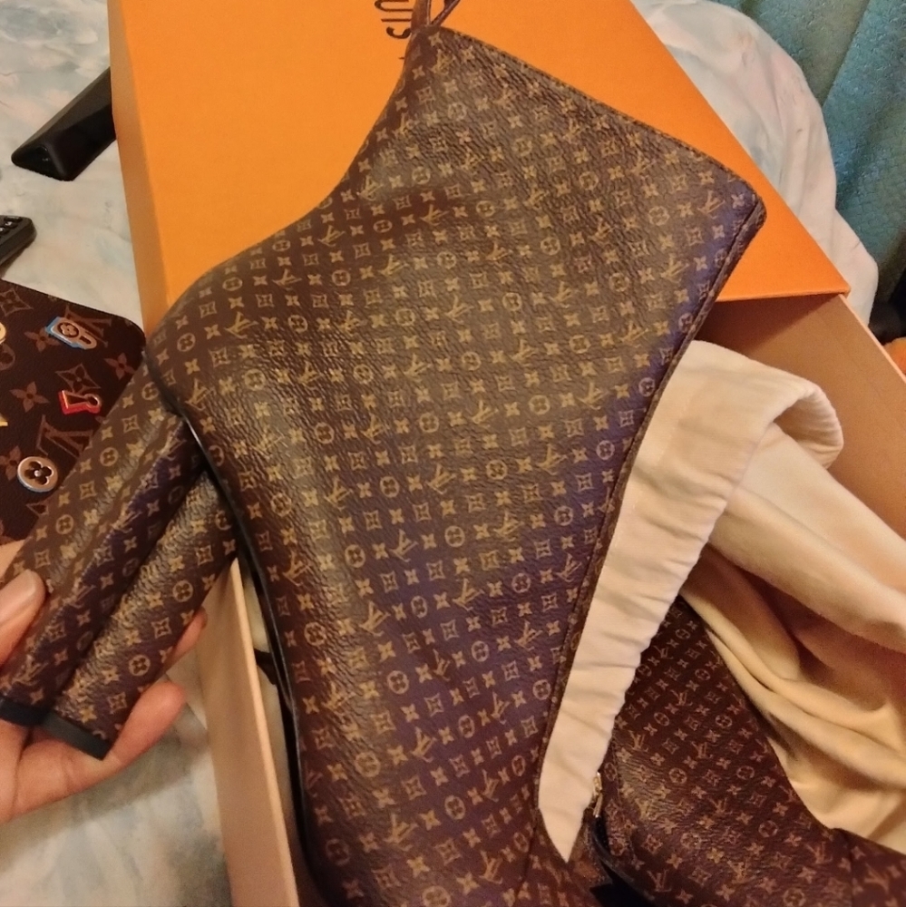 Louis Vuitton silhouette ankle booties